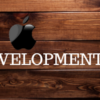 netface-ios-development-image-1