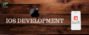 netface-ios-development-image-1