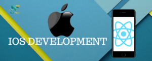 netface-ios-development-image-2