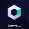 wix-corvid-web-development-image