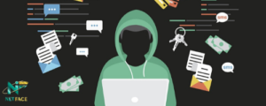 netface-cyber-security-web-app-hacking-security-image1