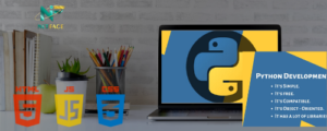 netface-full-stack-web-devlopment-with-python-image-1