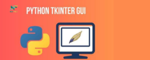 python-tkinter-netface-bootcamp-image